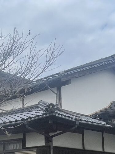 朝倉市　M様邸　屋根改修工事施工画像