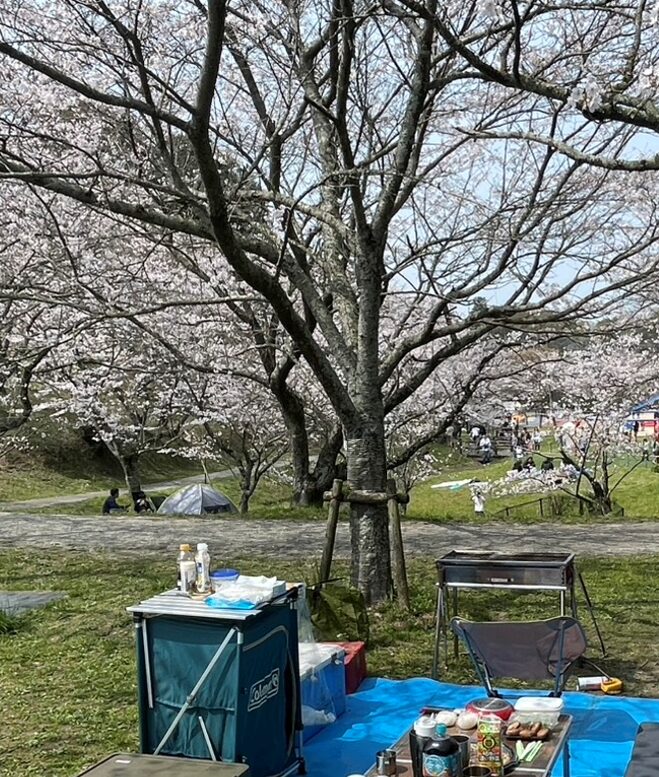 お花見施工画像